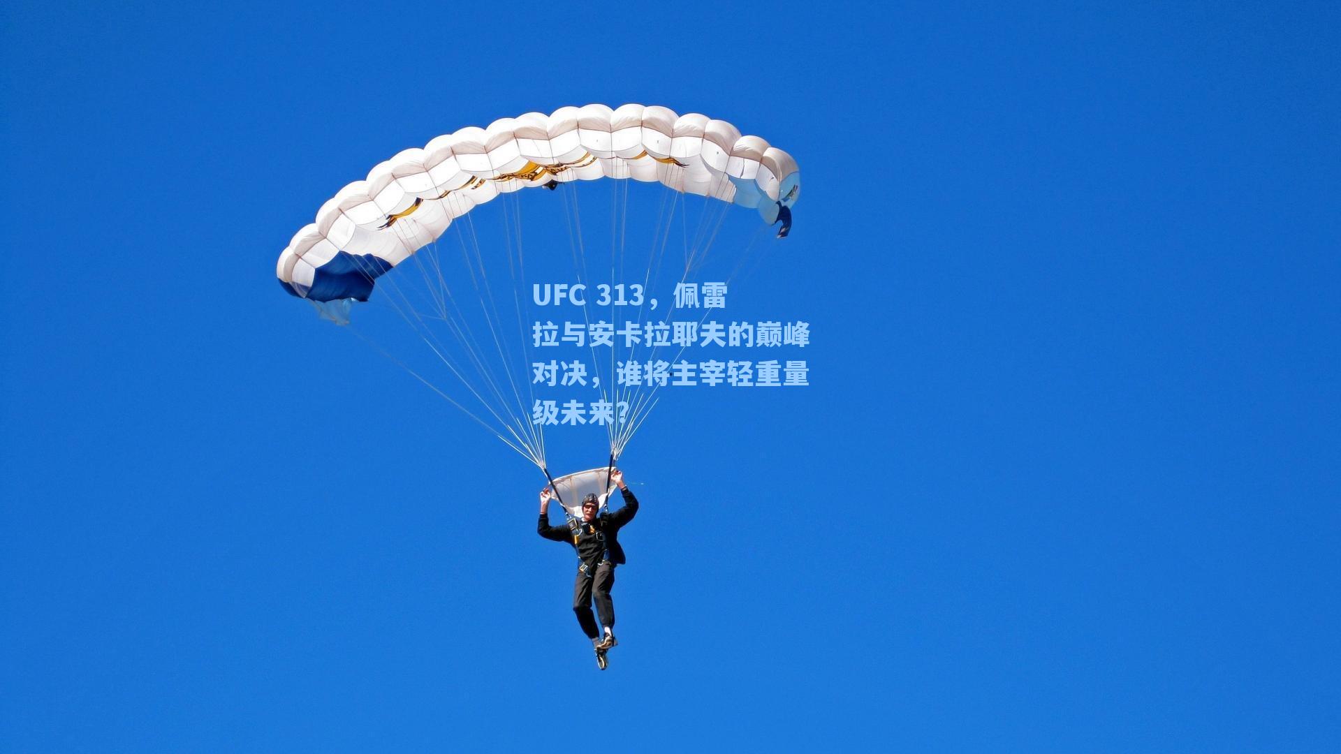 UFC 313,佩雷拉与安卡拉耶夫的巅峰对决,谁将主宰轻重量级未来?